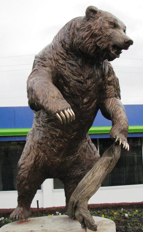 Brown Bear Car Wash — CG Engineering