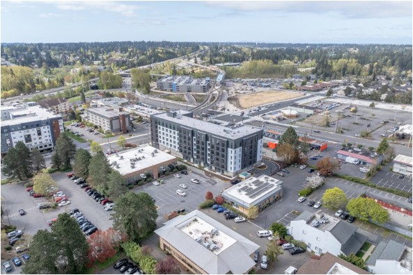 Koz on Alderwood